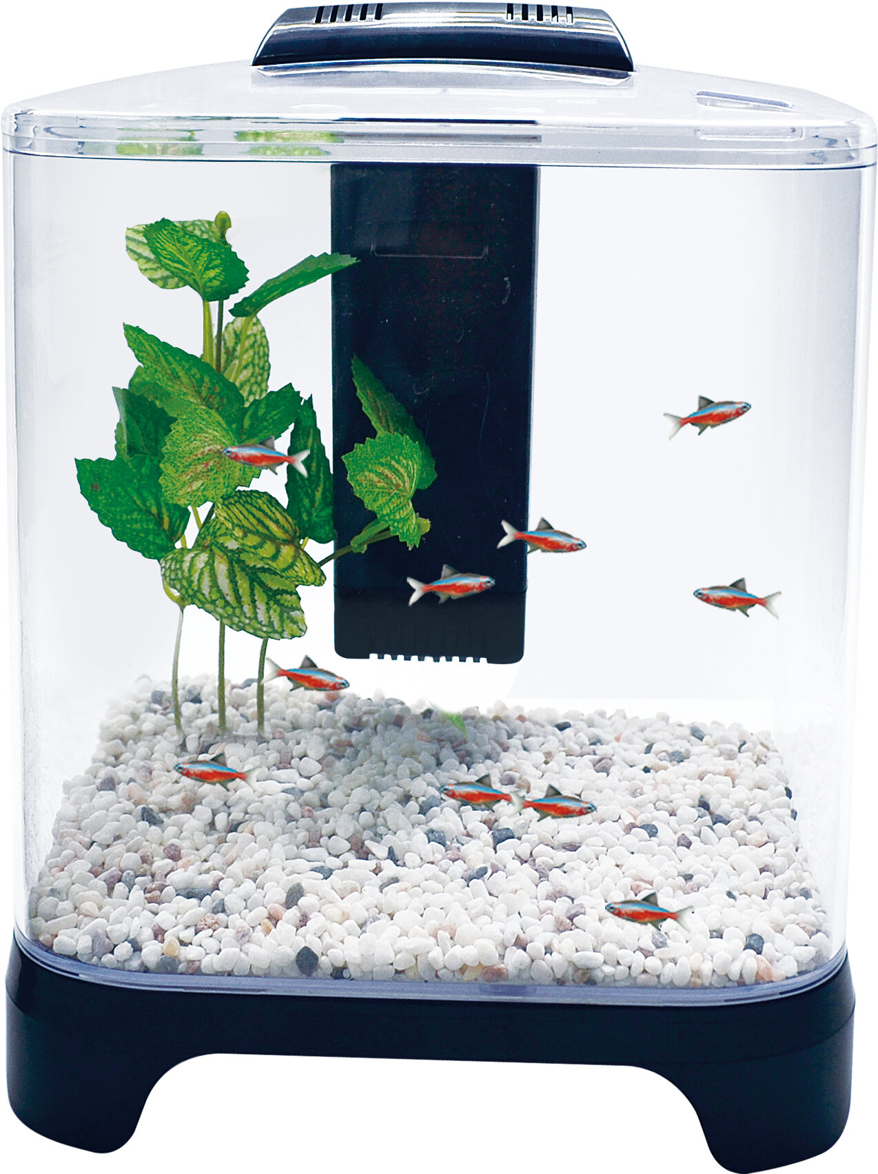 1.5 gallon fish tank best sale